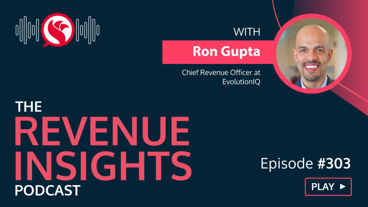 podcast-revenue-insights-#303-ron-gupta